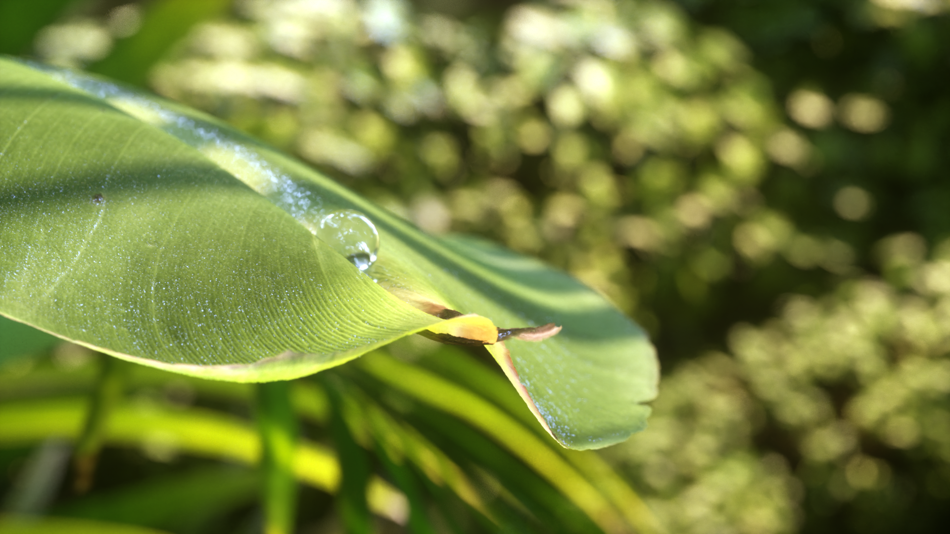 3D Visualisation/ Motion Design